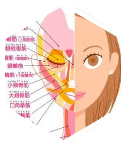 顔ヨガ